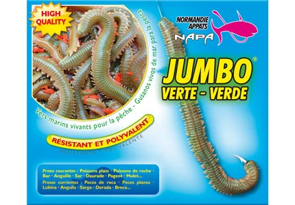 JUMBO